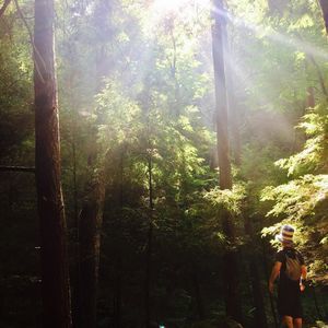 Meet your Posher, Dean